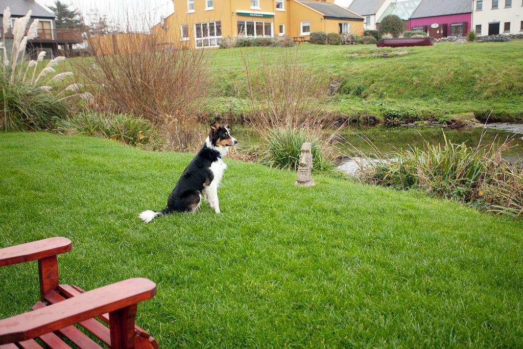 Aille River Tourist Hostel And Camping Doolin Exterior photo