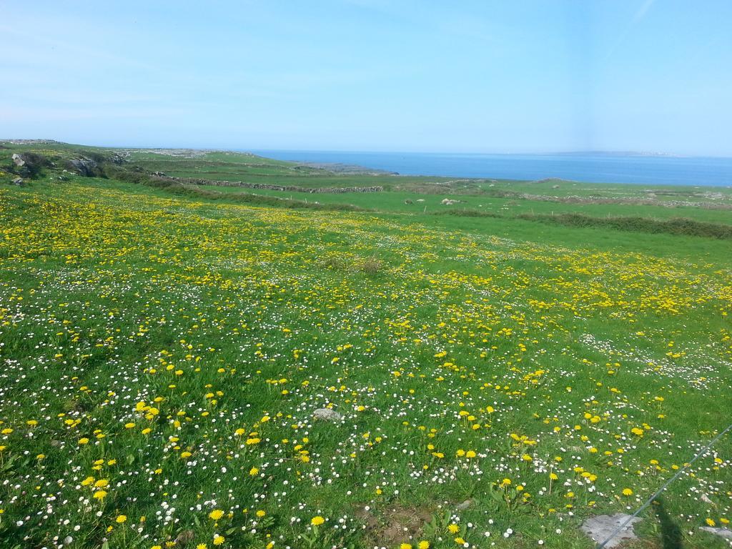 Aille River Tourist Hostel And Camping Doolin Exterior photo